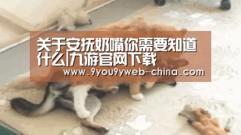 关于安抚奶嘴你需要知道什么|九游官网下载(图1) 九游官网下载